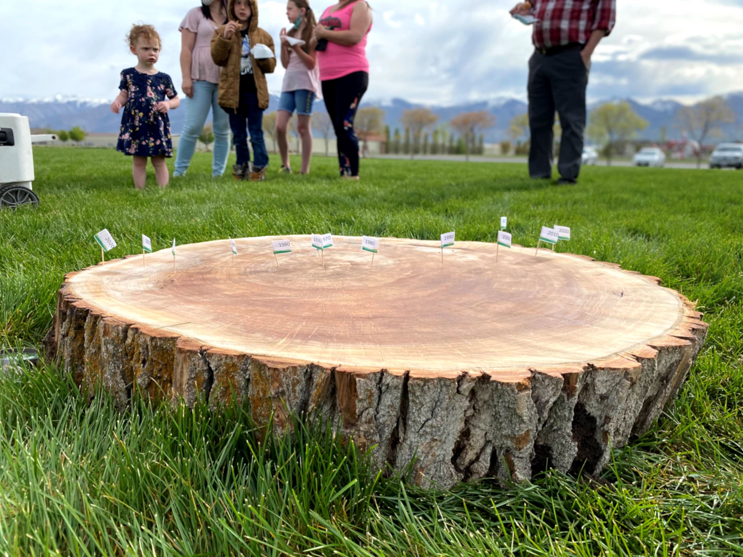 IMG_6933 Tree slice family and little girl behind
