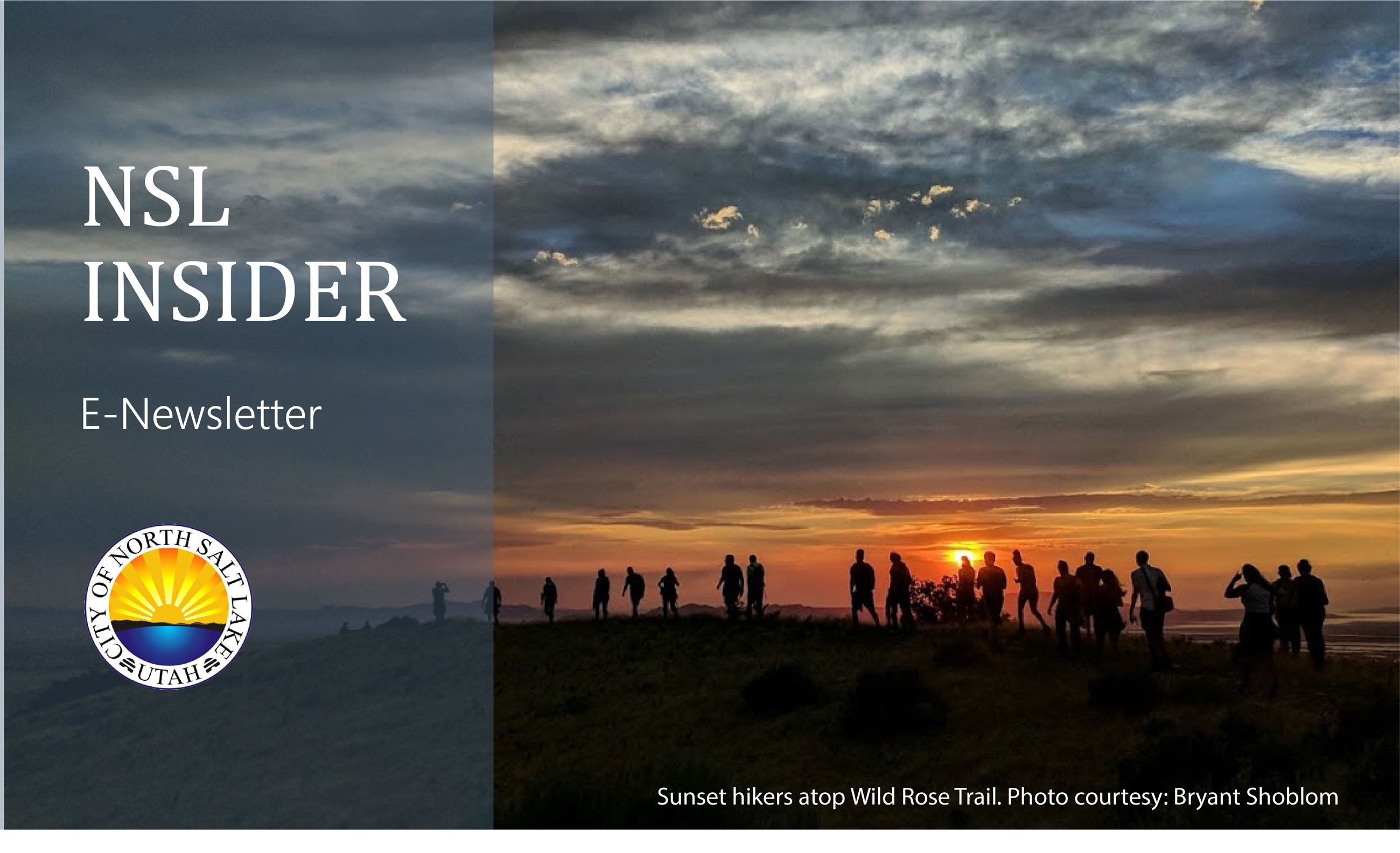 NSL Insider E-newsletter pic for website