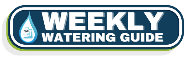 Button Weekly Watering Guide