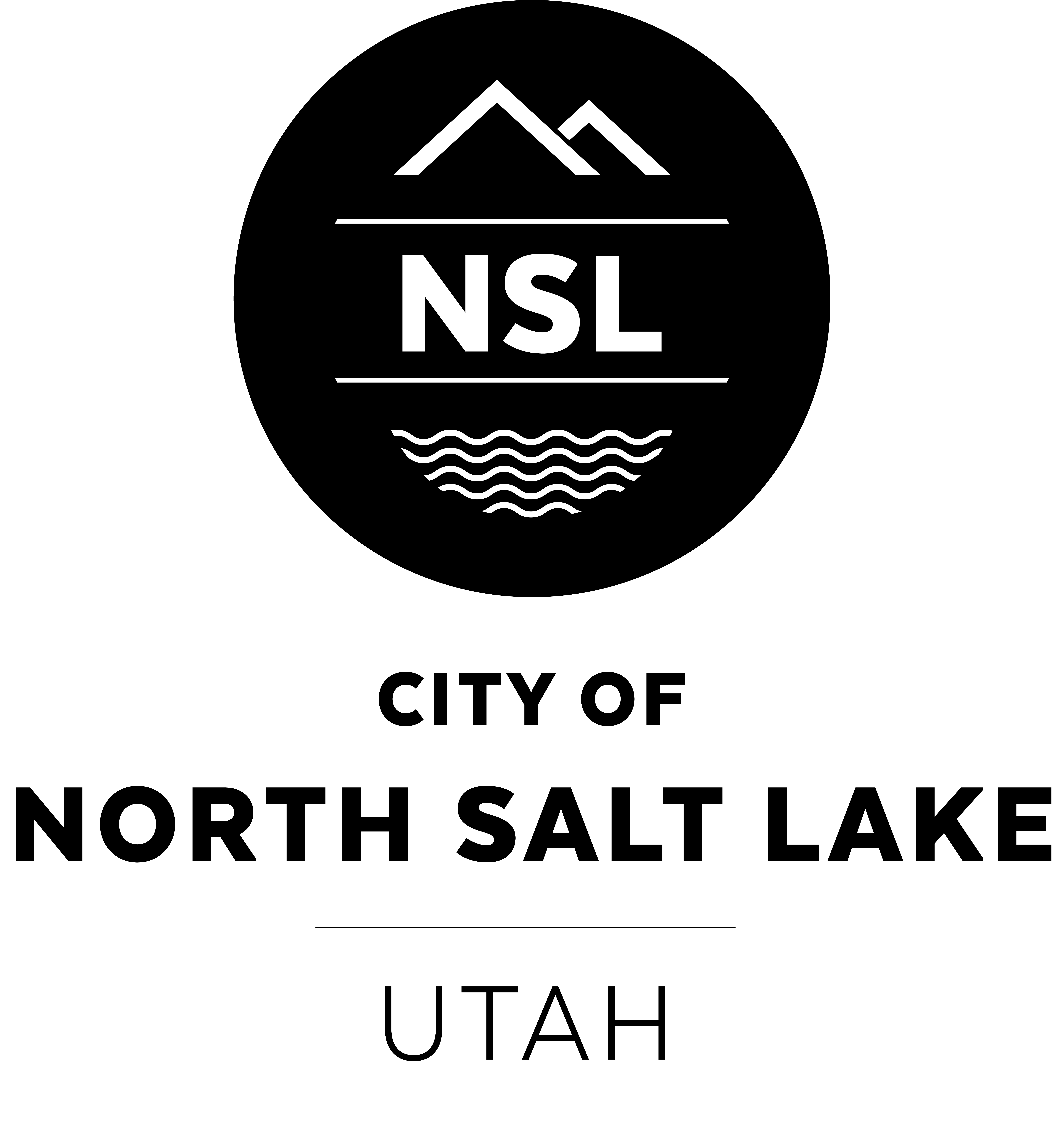 NSL Primary Logo Stacked BLACK One Color